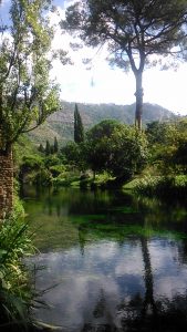 Ninfa reflection